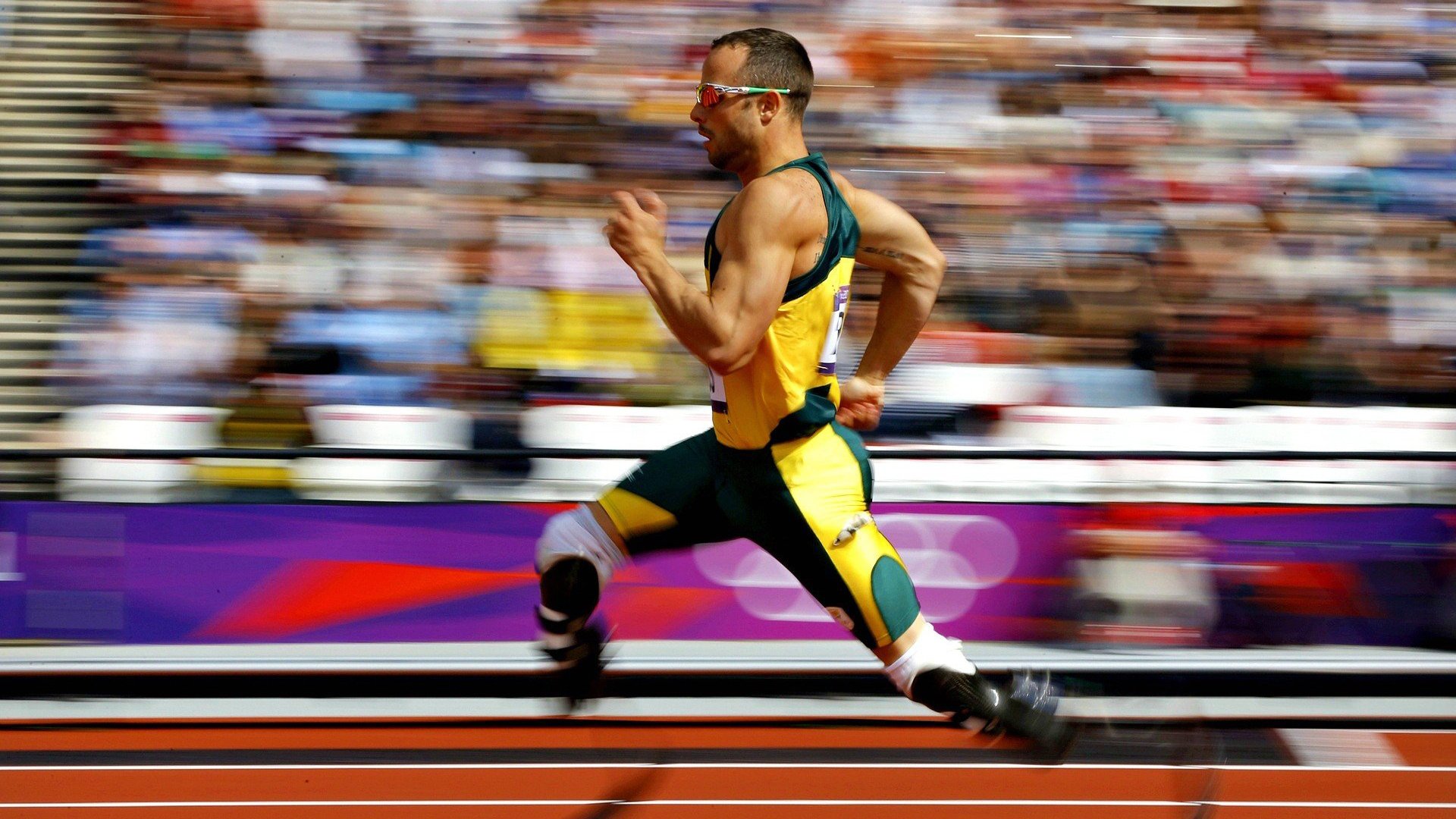 “雪域霸主：白色赛场的冠军归来”，雪域白图片